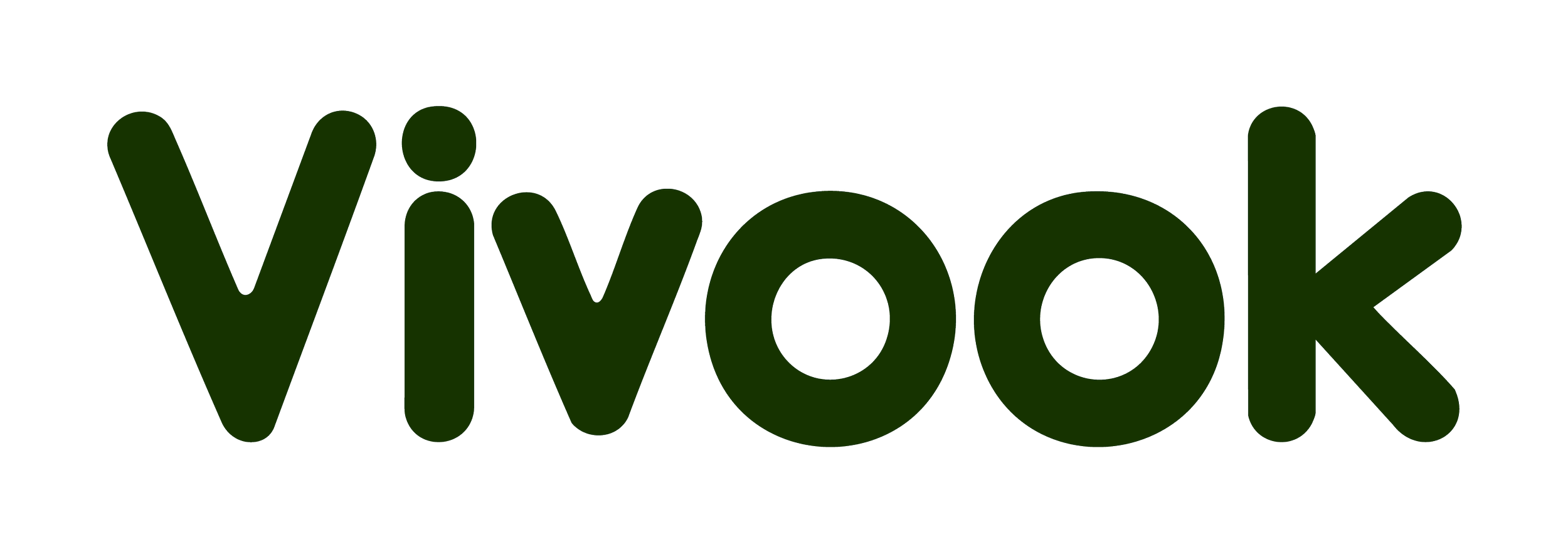 Vivook